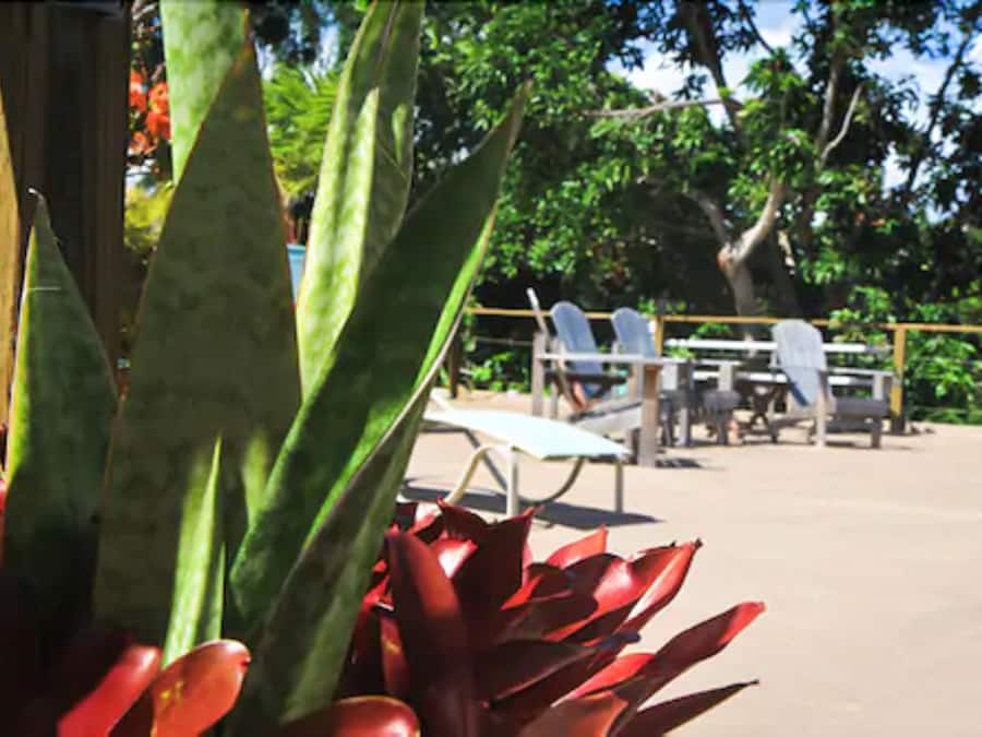Terrasse sur le toit