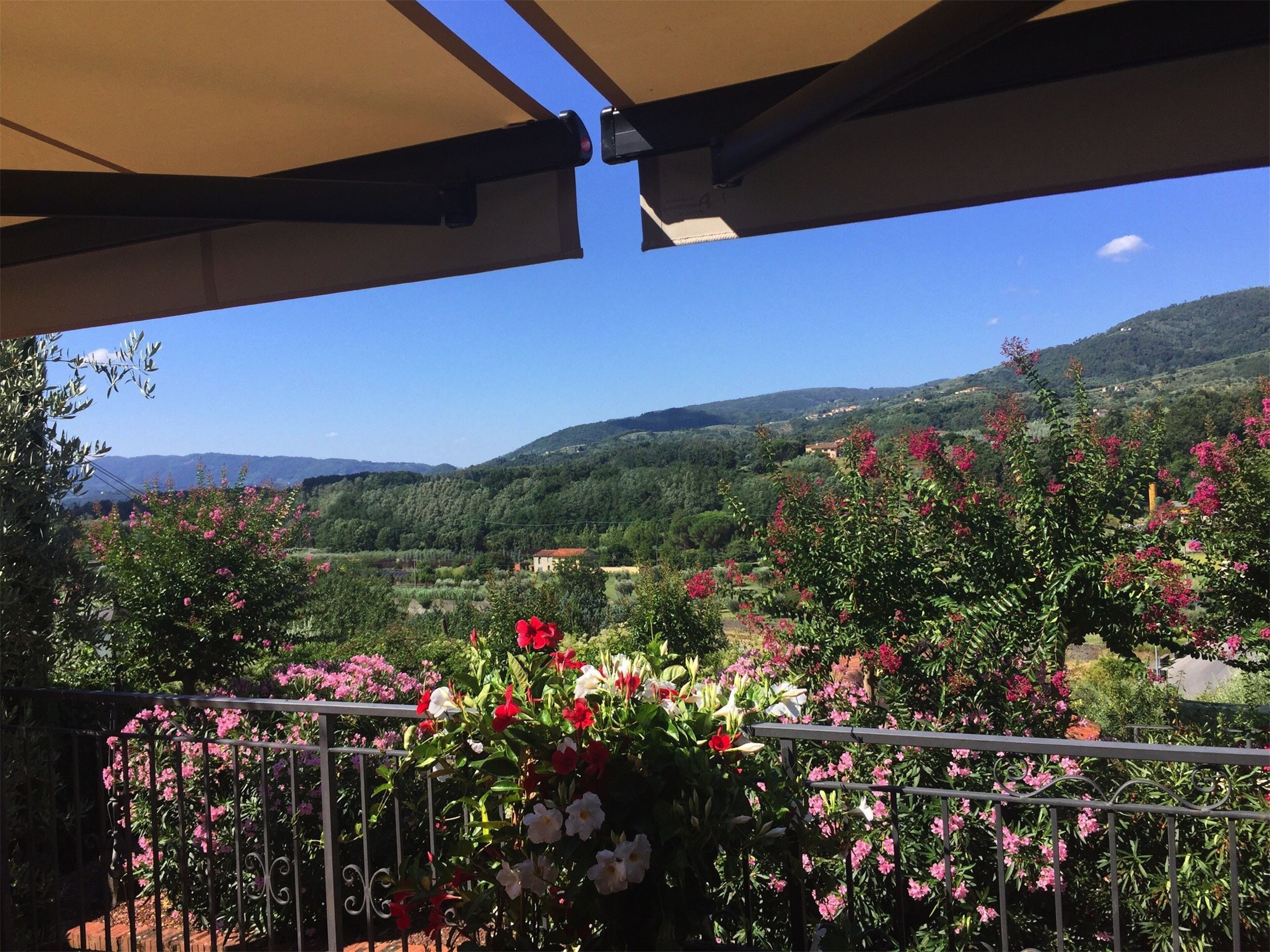 Foto - Villa Parri