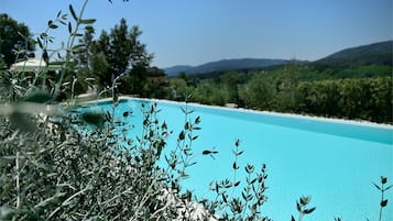 Una piscina al aire libre, sombrillas, sillones reclinables de piscina