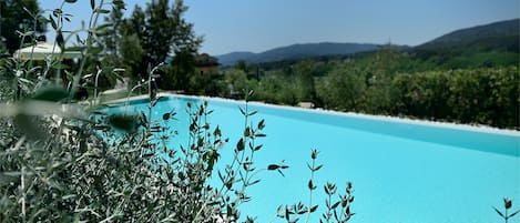 Piscine extérieure, parasols de plage, chaises longues