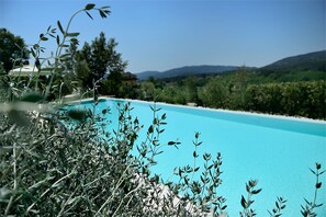 A clear blue pool surrounded by greenery and hills in the background. - Villa Parri (Pistoia)