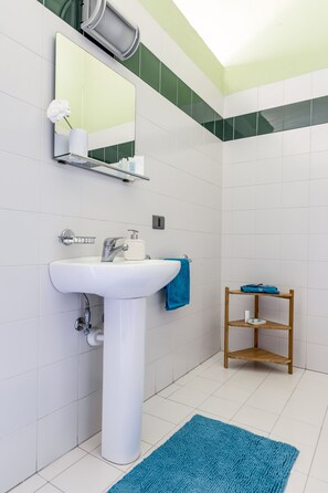 Shower, rainfall showerhead, hair dryer, bidet