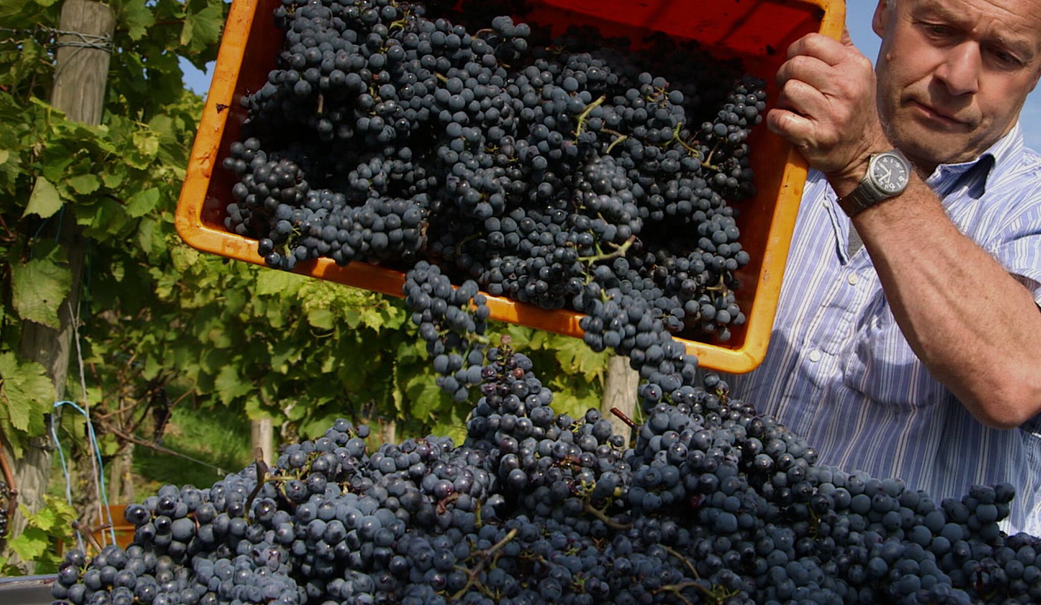 숙박 시설 구내