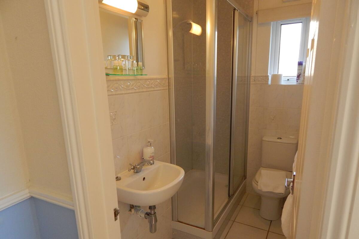 A bathroom with a glass-enclosed shower, a sink, and a toilet.