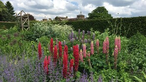 A garden with various flowering plants and a wooden structure. - Fairlight Lodge (King's Lynn)