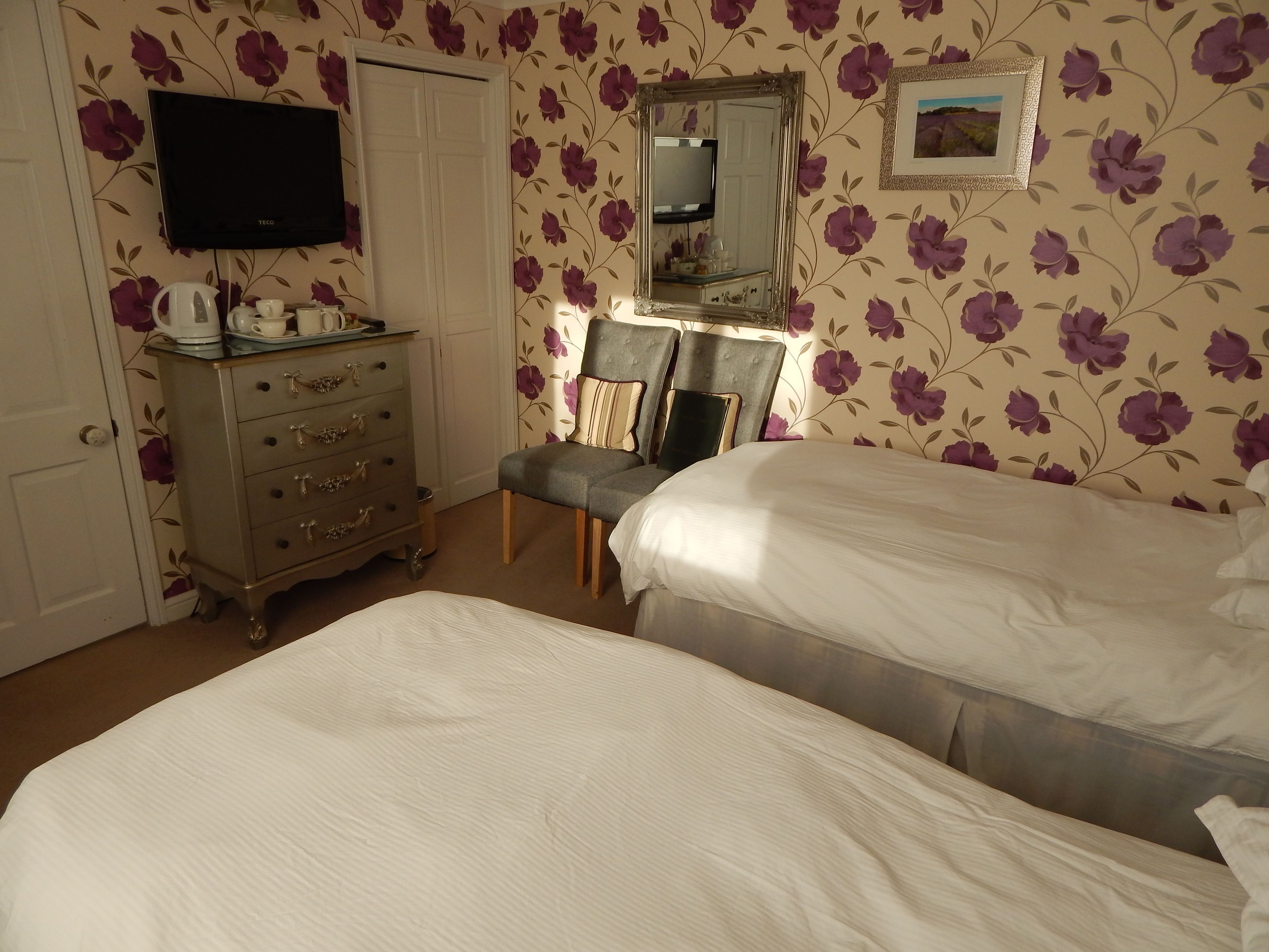A bedroom with two beds, a dresser, a television, and a mirror.