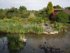 View from property - Pointers Guest House (Huntingdon)