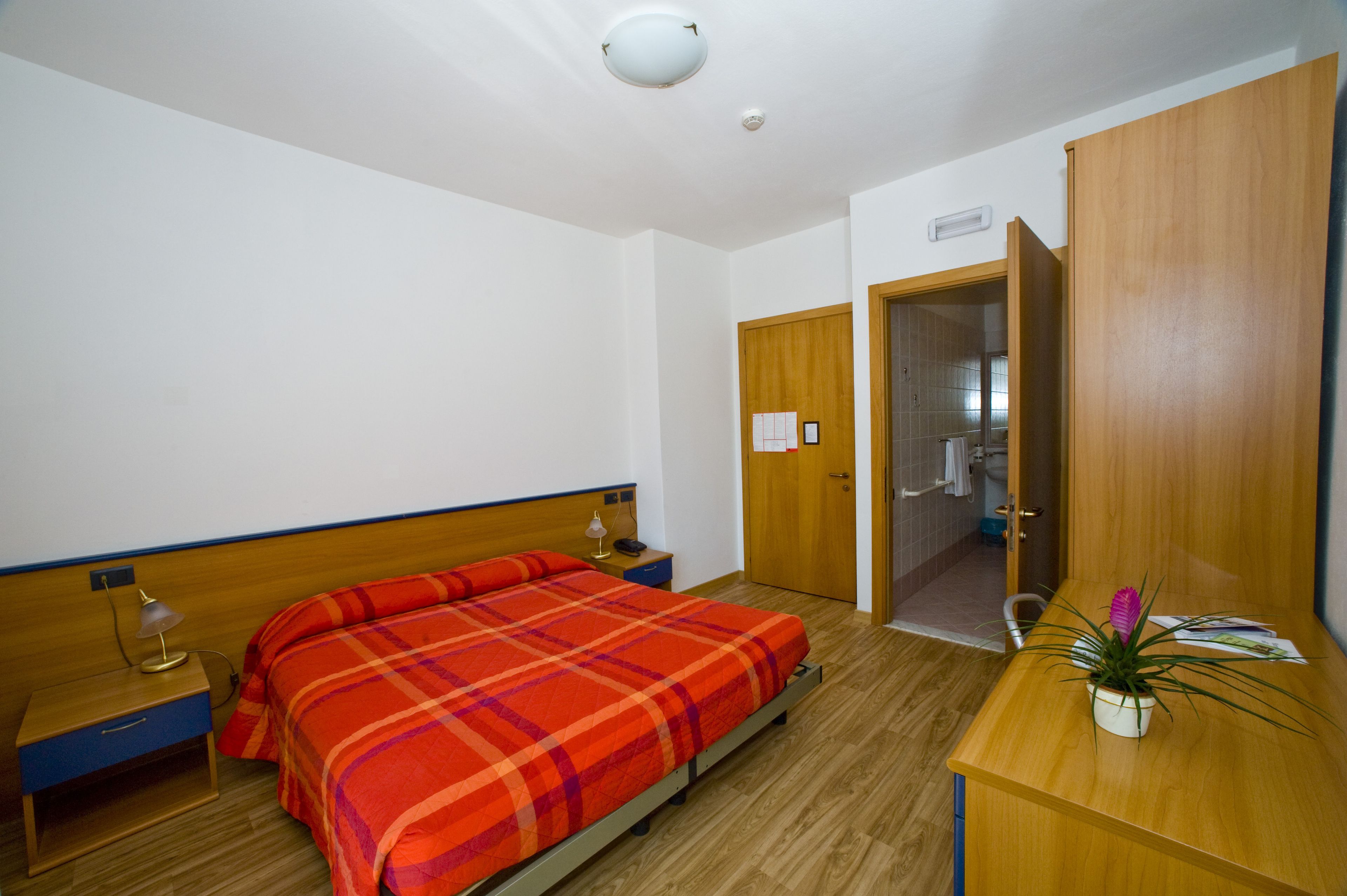 Un dormitorio con cama, mesita de noche de madera, lámpara de noche y un escritorio de madera con una planta.