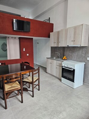 Magma Apartment | Cocina privada | Refrigerador, artículos de limpieza y toallas de papel 
