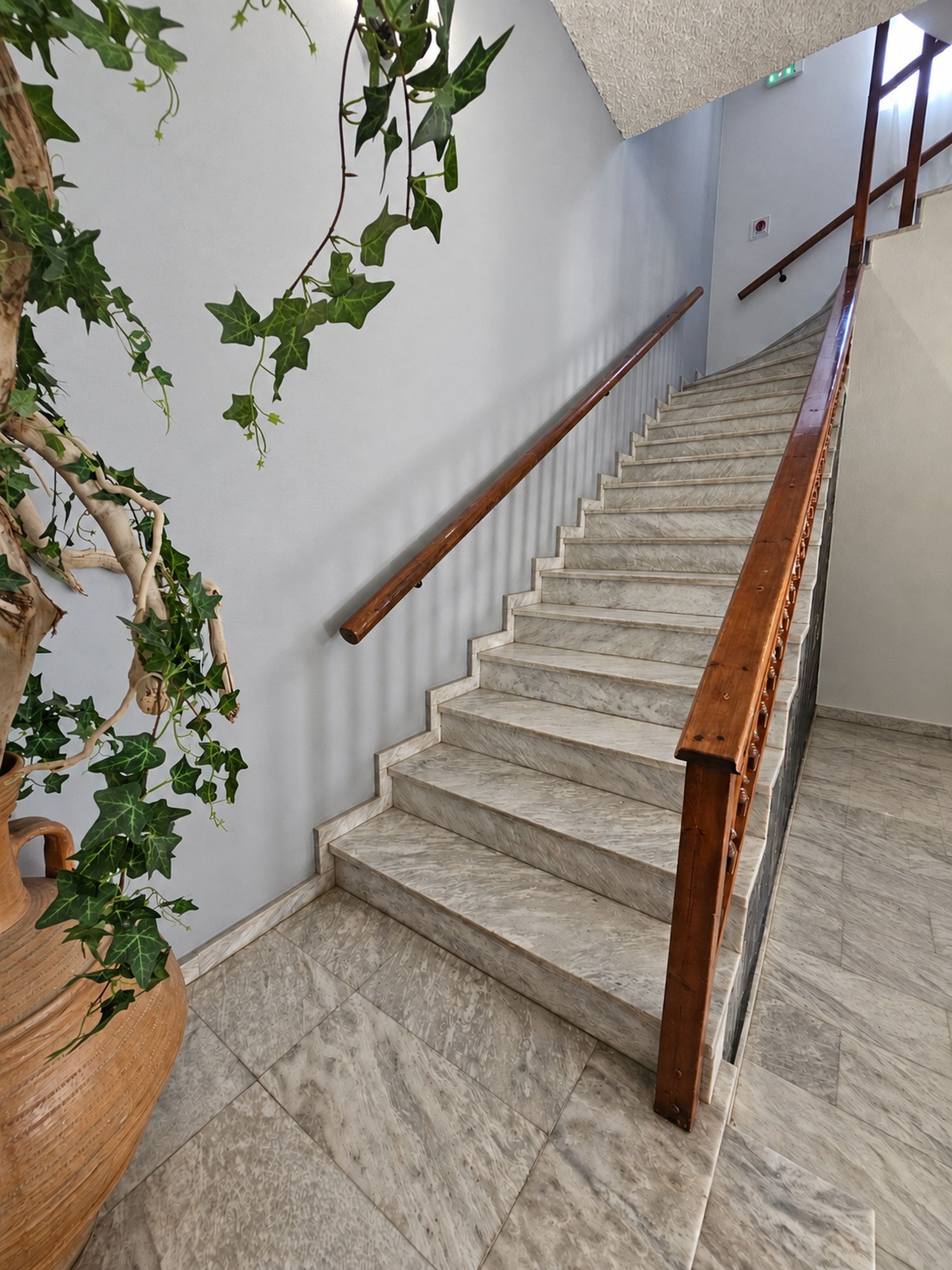 Una escalera de mármol con barandillas de madera, una planta en maceta y una pared con textura.