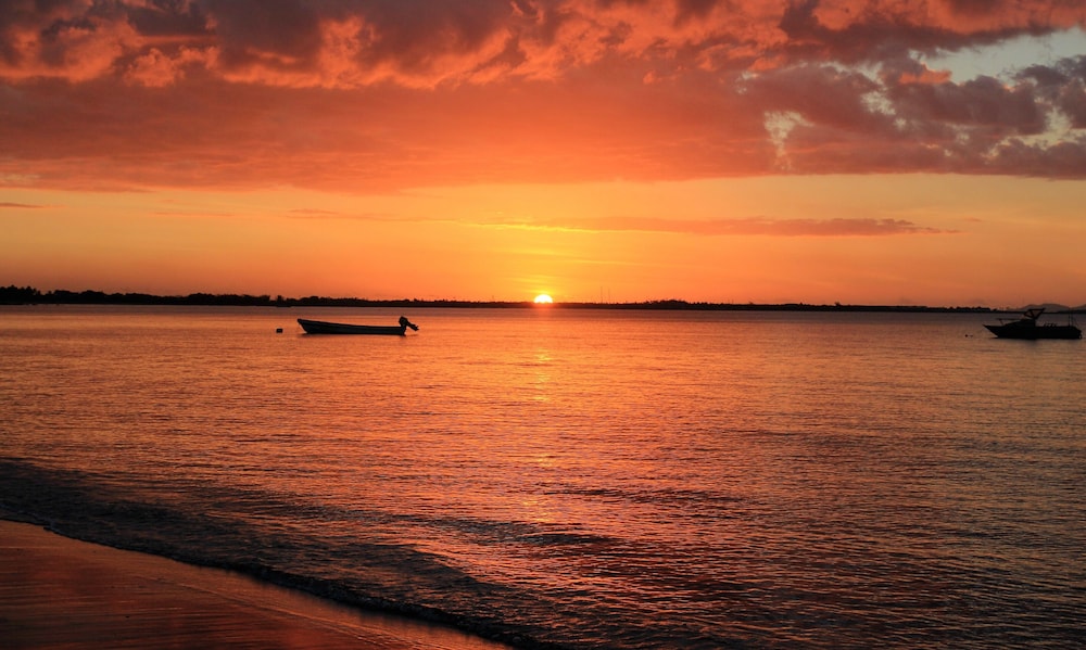 Bamboo Travellers by null