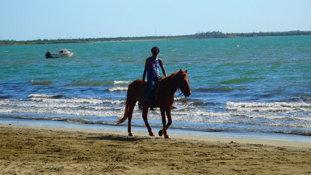 A beach with a horse and rider walking along the shore. - Bamboo Backpackers (Nadi)