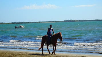 Reiten