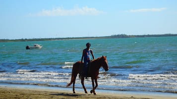 Horseback riding