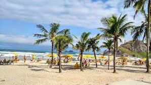 A beach with palm trees and umbrellas. - Hotel Doral Guarujá (Guarujá)