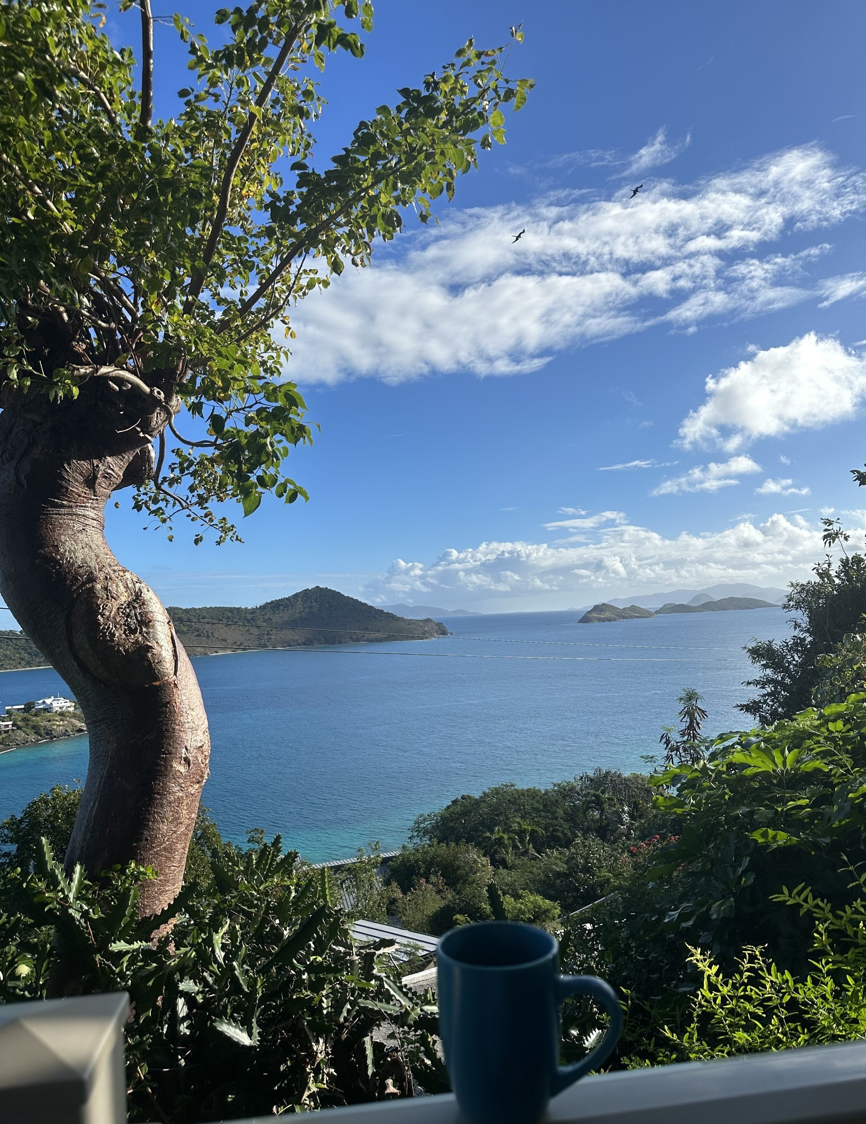 Studio | Vue depuis l’hébergement 