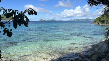 Condo, 1 Bedroom | Beach | Private beach, kayaking