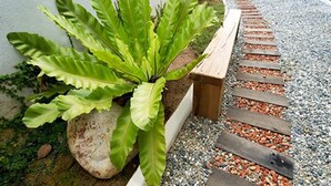 外观细节