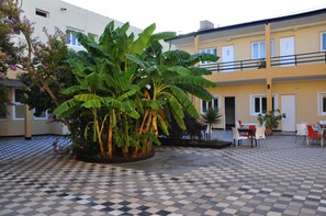 Property grounds - Hotel Rex (San Rafael)