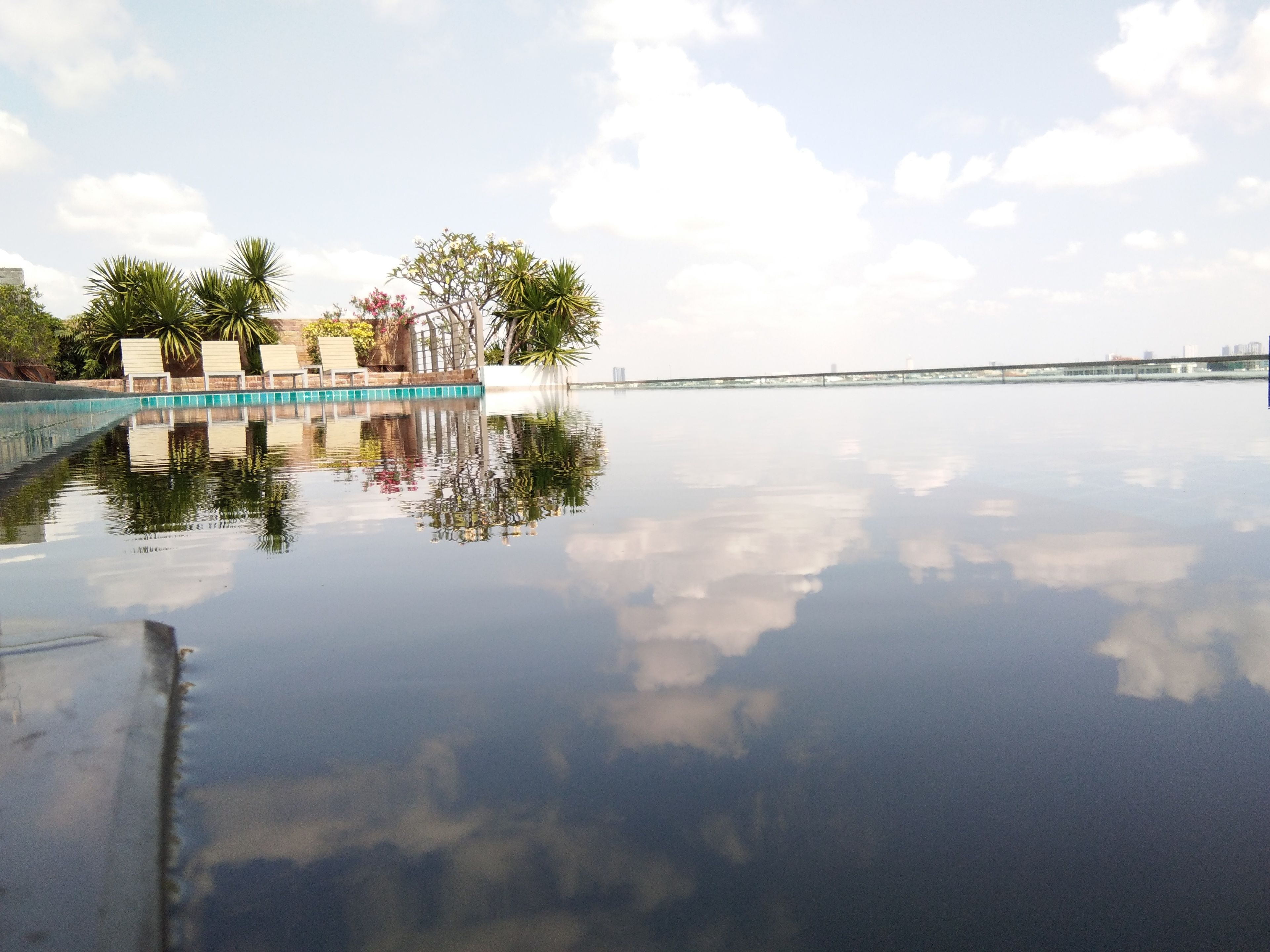 outdoor pool, pool loungers
