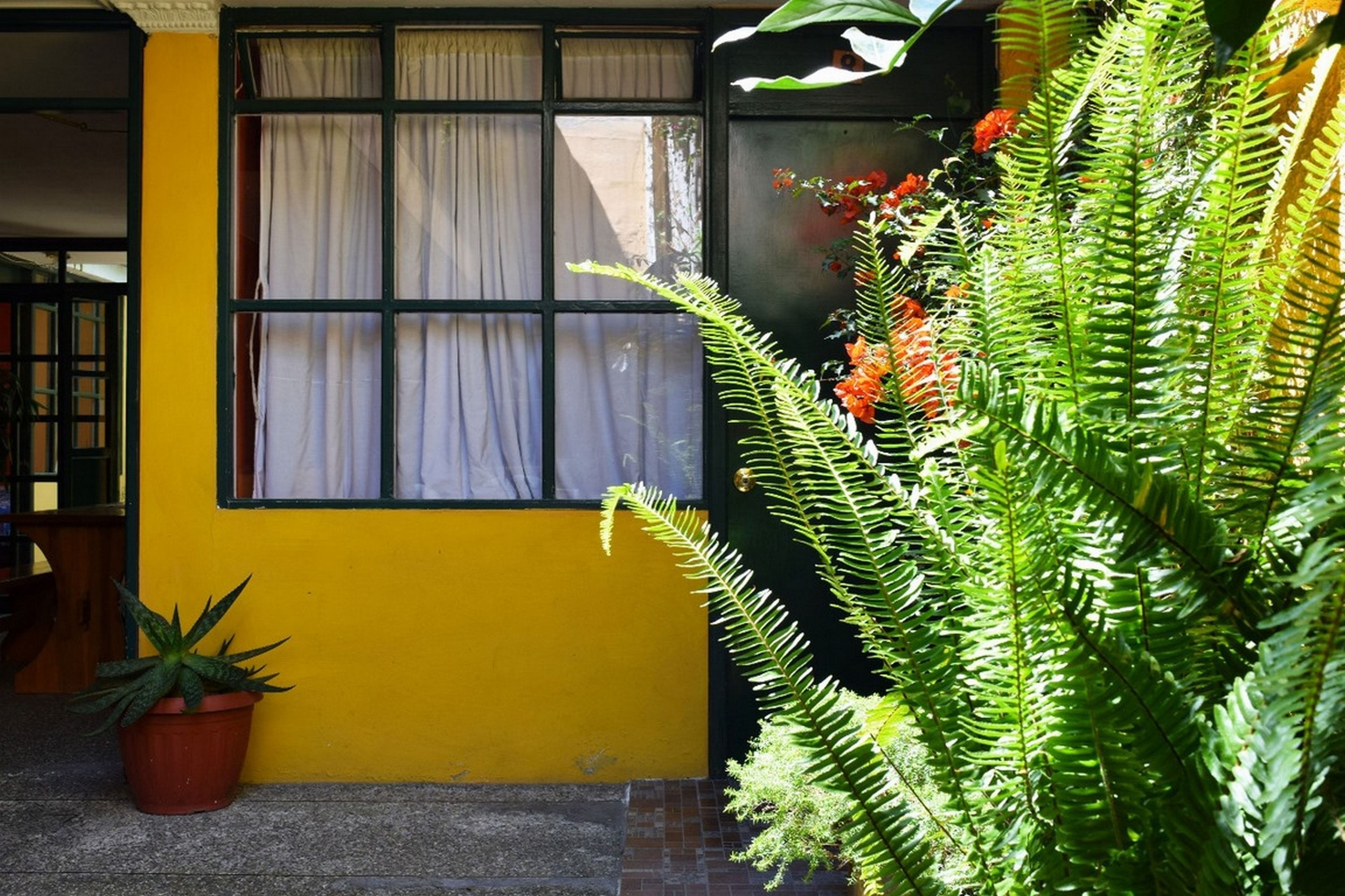 Foto - Hostal Alcala