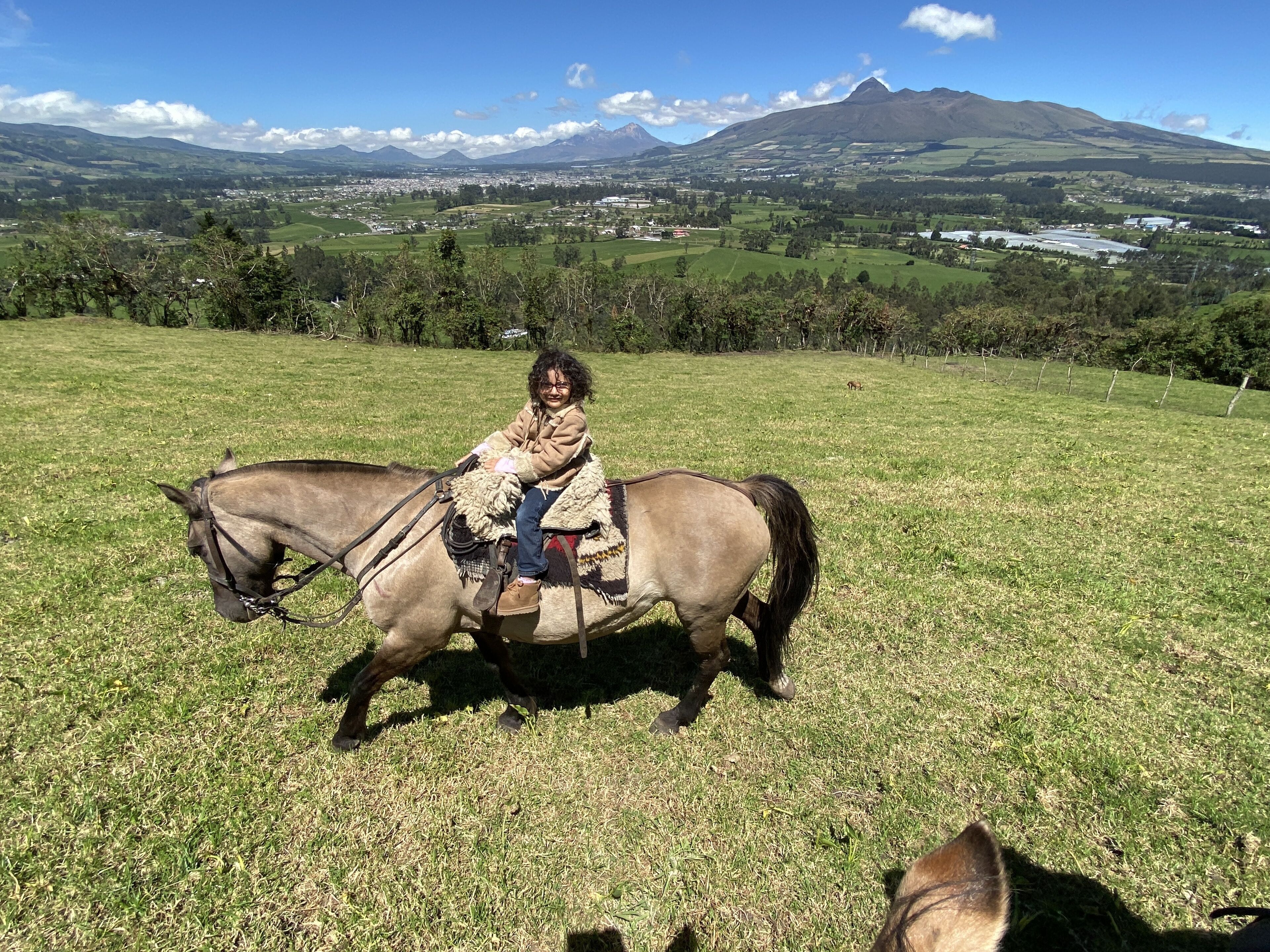 Foto - Hostal Alcala