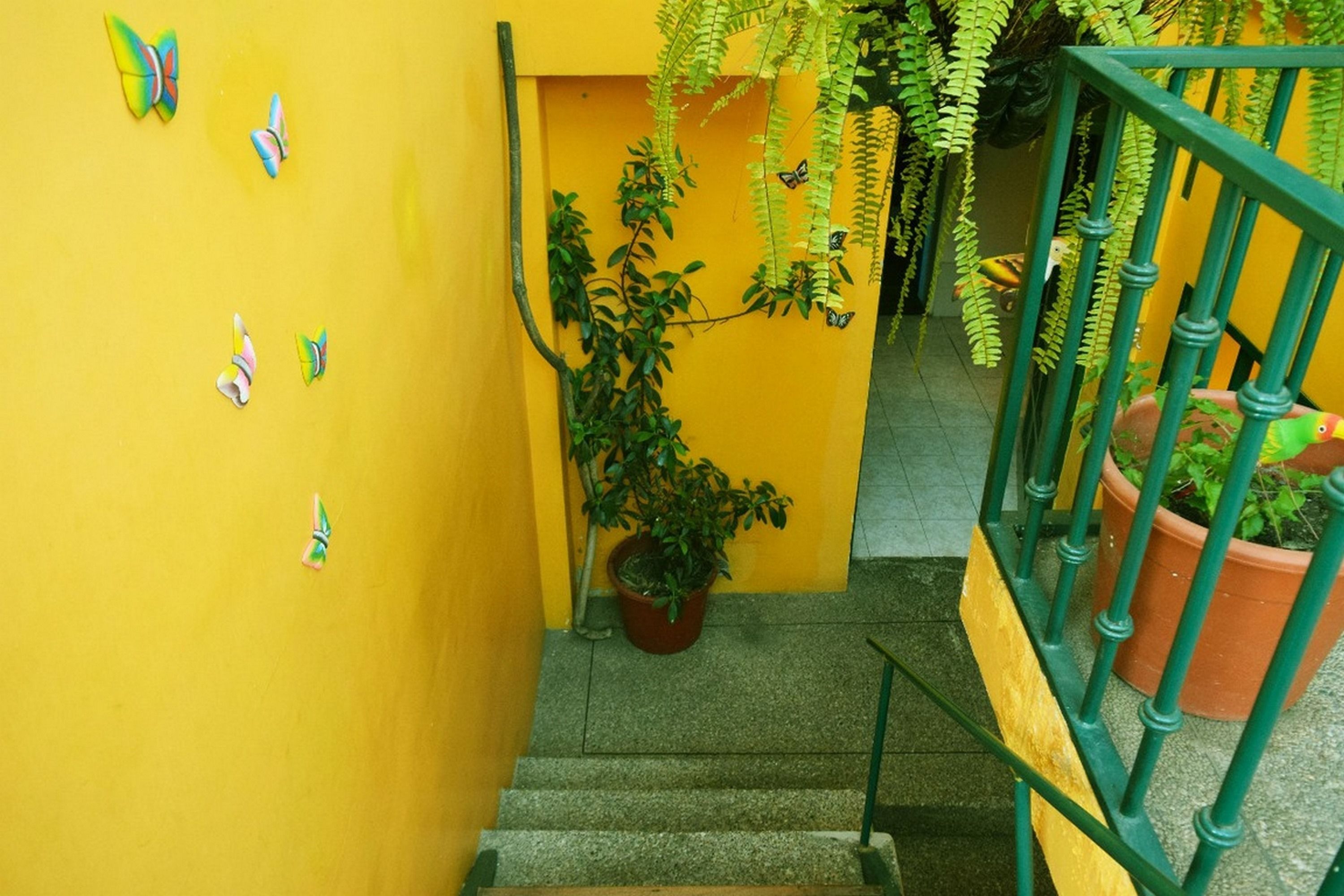 Foto - Hostal Alcala