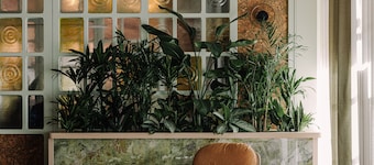 PURO PoznaĆ Stare Miasto