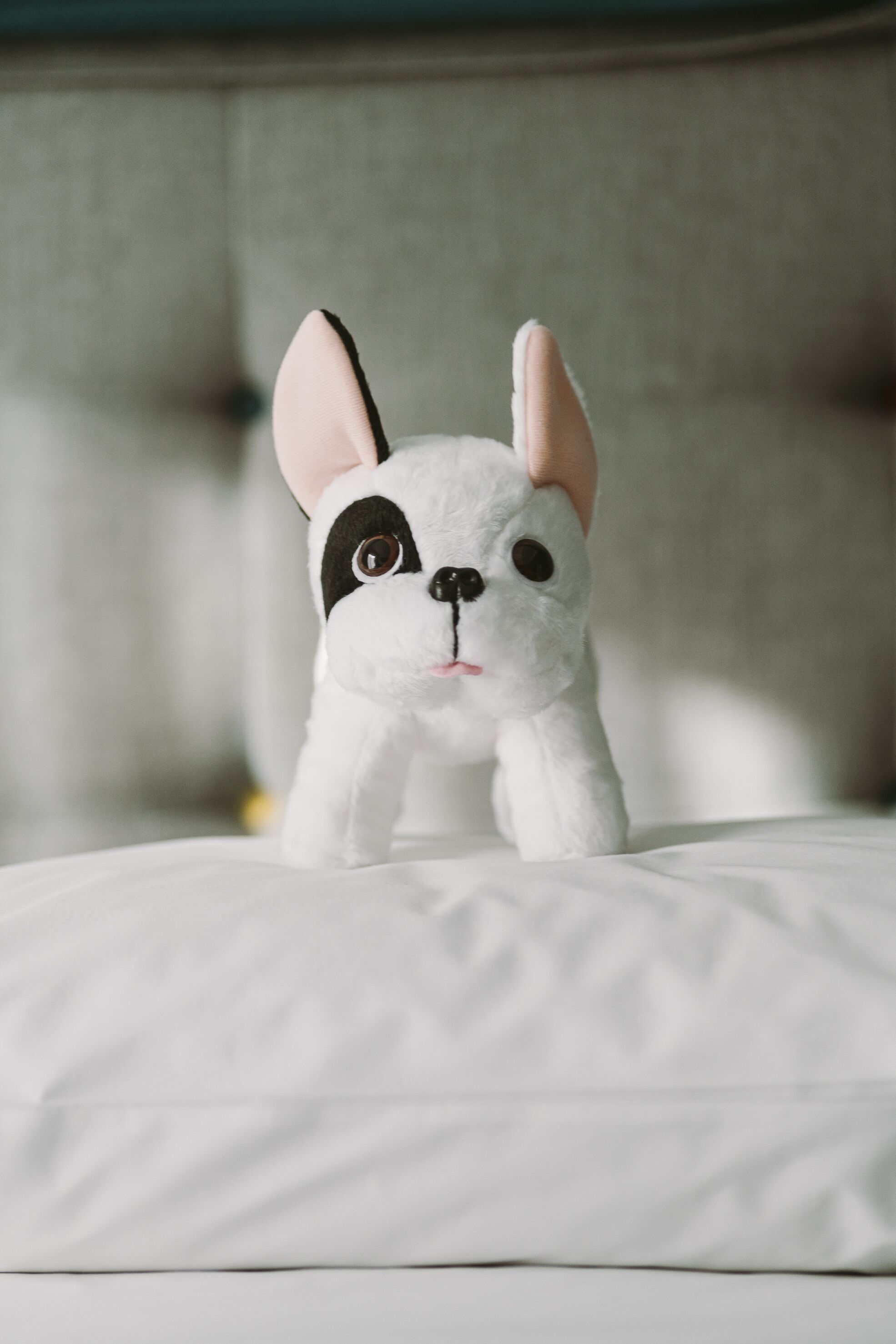 classic single room | 1 bedroom, premium bedding, in-room safe, desk