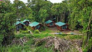Een rij houten hutten met groene daken, verscholen in een bos.