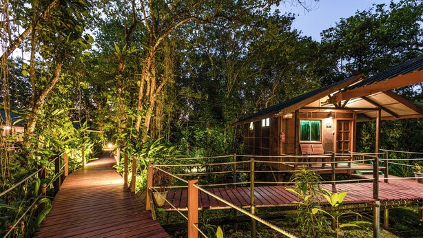 Een houten pad dat leidt naar een klein houten huisje met een overdekte veranda, omgeven door weelderige begroeiing.