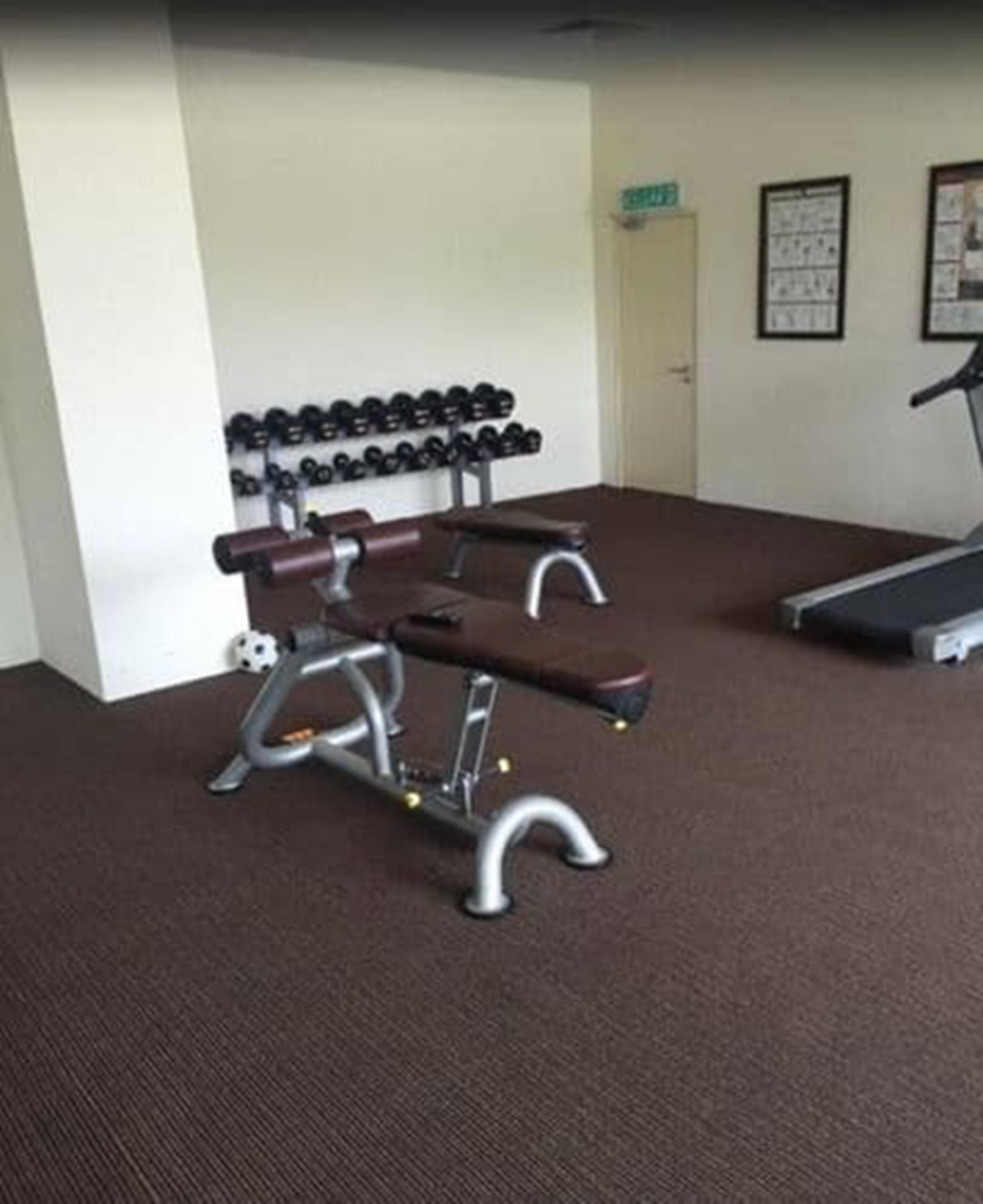 A gym with a bench press, dumbbells, and a treadmill.