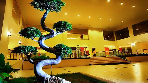 A modern indoor space with a unique spiral-shaped bonsai tree centerpiece, a staircase, and a well-lit atrium. - Raia Hotel & Convention Centre Terengganu (Kuala Terengganu)