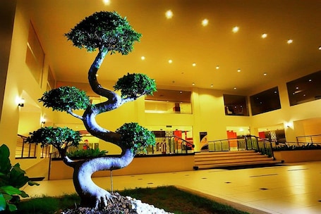 ์๋ฐ ์์ค ์ ๋ฉด - ์ ๋
/๋ฐค