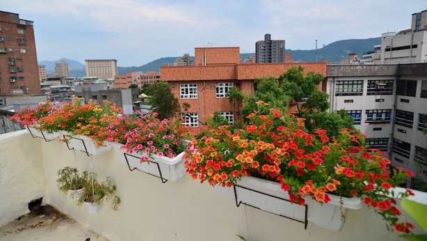 Terrasse/patio