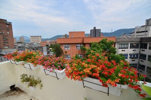 テラス / パティオ