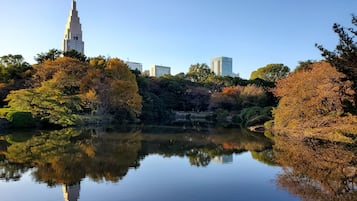 A serene lake reflecting trees and buildings, including a prominent tower and modern high-rises.