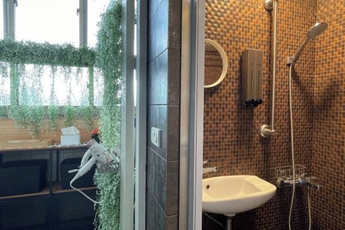 A bathroom with a shower, a sink, and a mirror. There is a window with greenery outside.