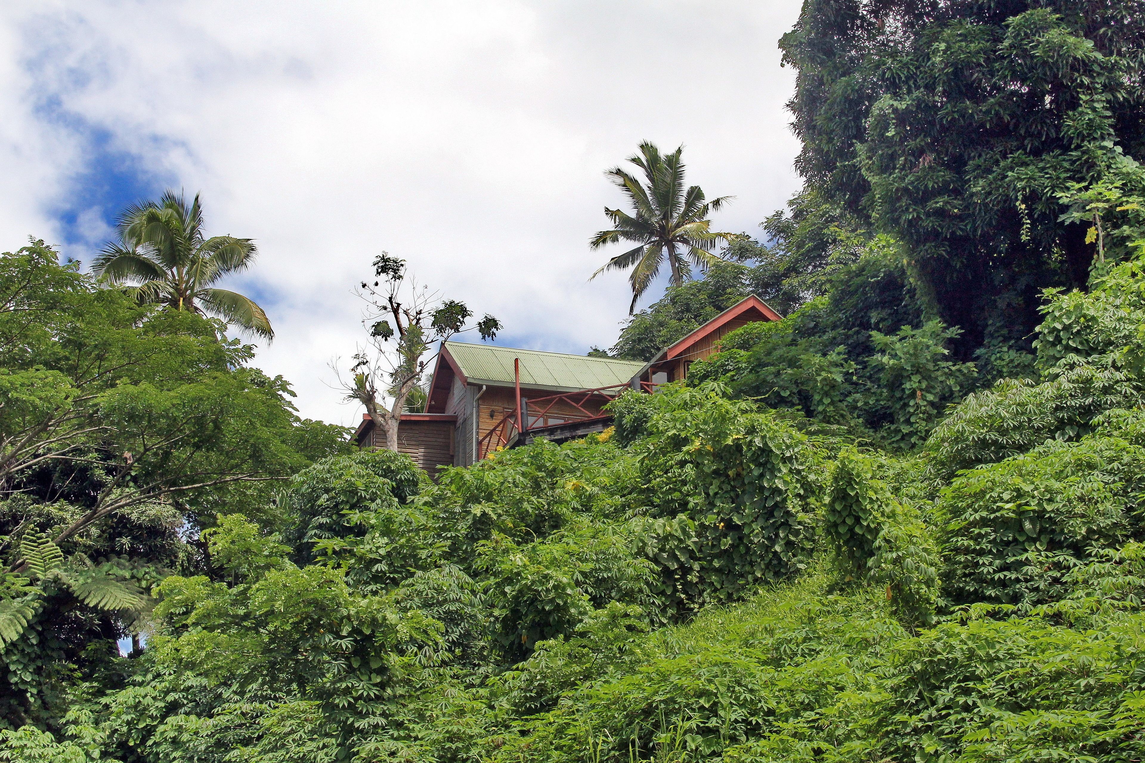 A house nestled among dense tropical foliage with a green roof, surrounded by various types of trees and plants.