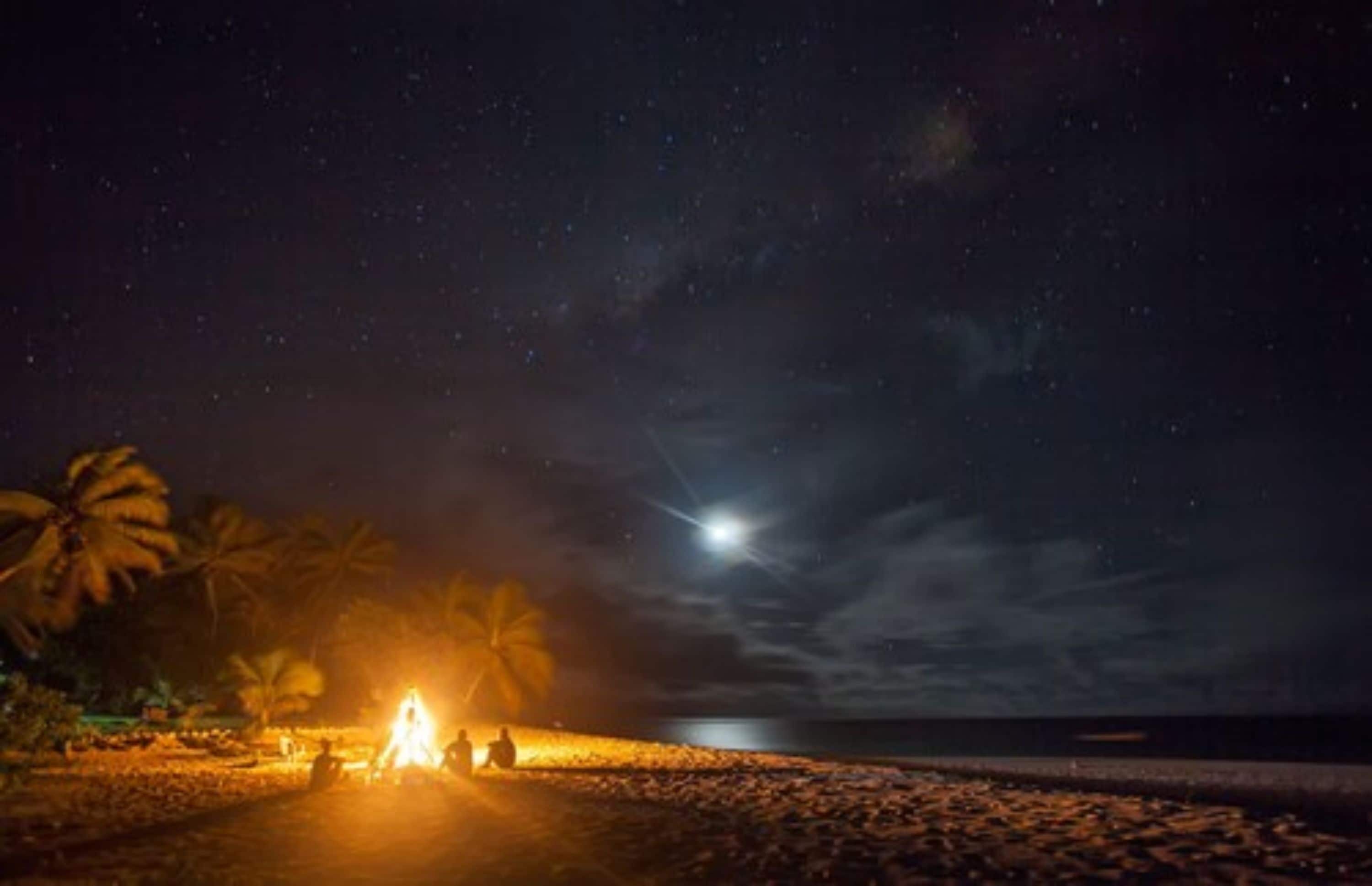 A beach at night with a campfire and palm trees.