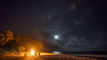 A beach at night with a campfire and palm trees.