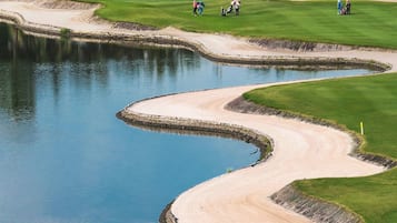 Servicio de la propiedad