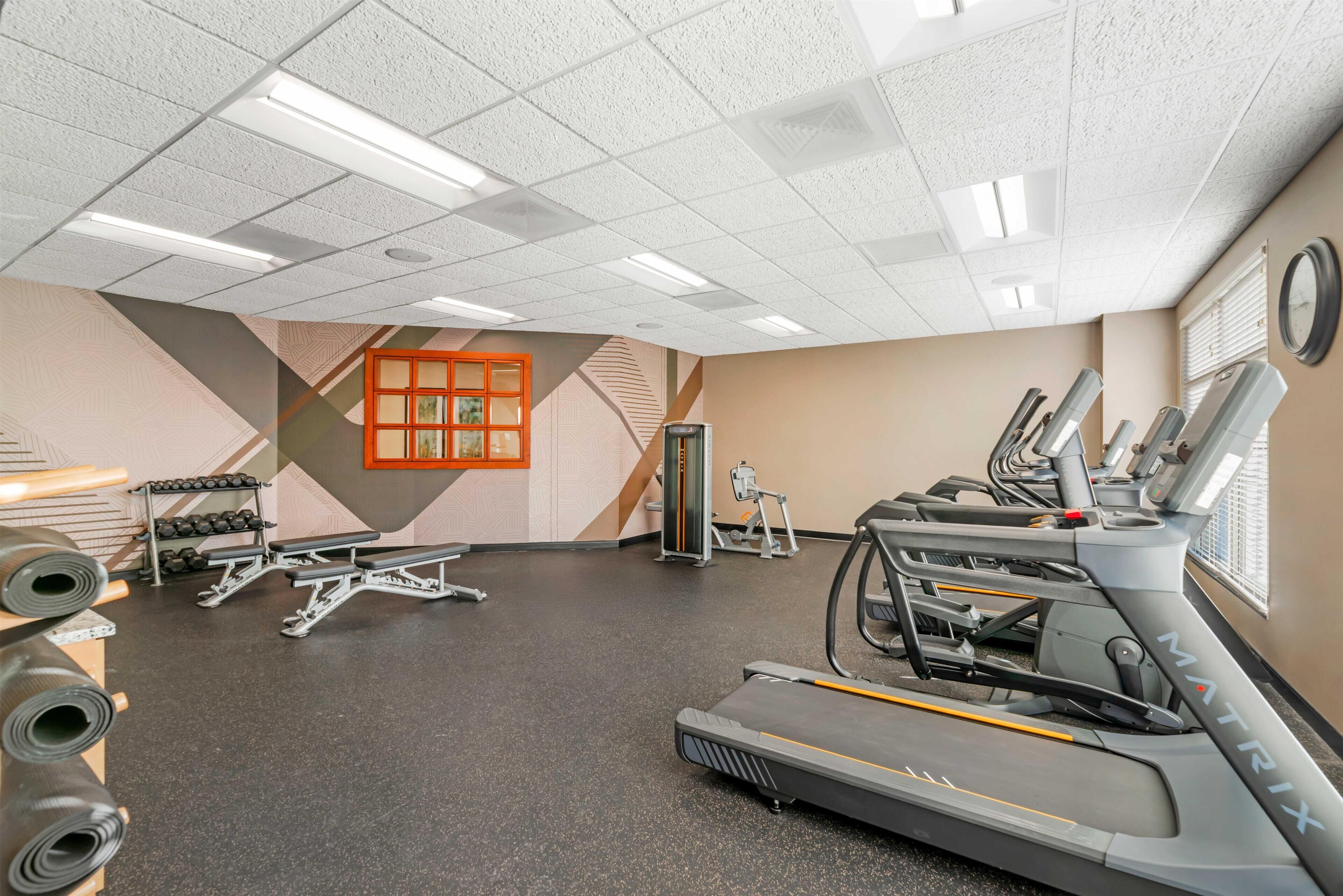 A gym with treadmills, weight machines, and a wall-mounted mirror.