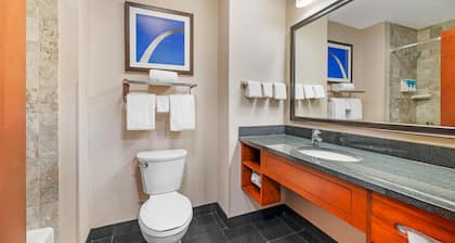 Drury Plaza Hotel St. Louis Brentwood