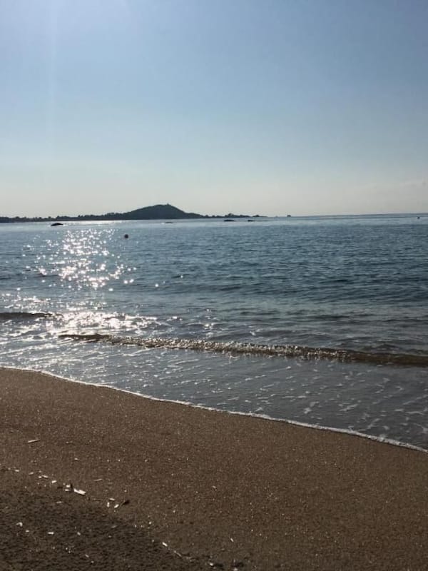 位於海灘上