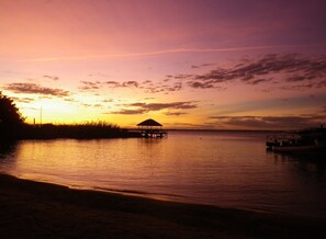 Vista desde la propiedad