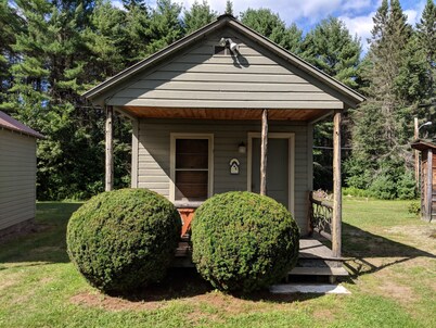 Pine Tree Motel & Cabins