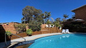 A swimming pool with a tiled edge, surrounded by a wooden deck and a brick wall. There are lounge chairs and a palm tree in the background.
