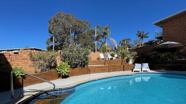 A swimming pool with a tiled edge, surrounded by a wooden deck and a brick wall. There are lounge chairs and a palm tree in the background. - Ocean View Motor Inn (Merimbula)