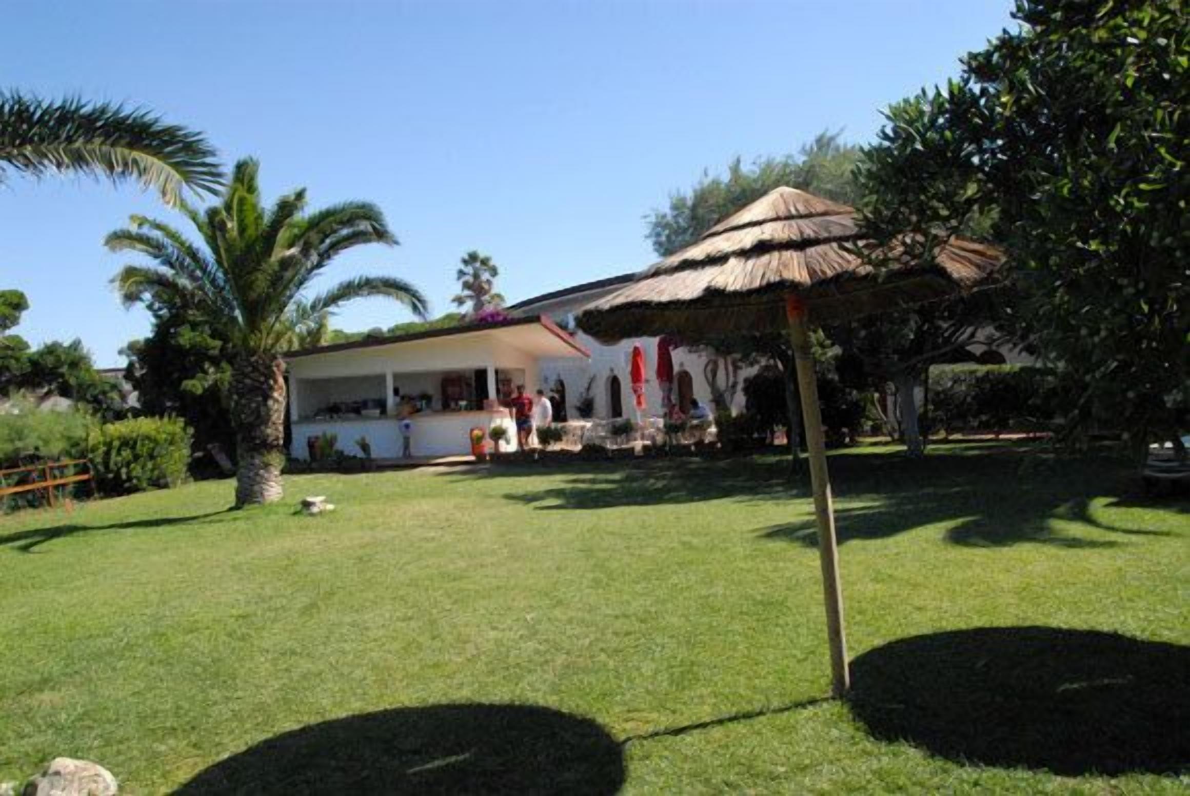 A house with a thatched roof, a lawn, and a palm tree.